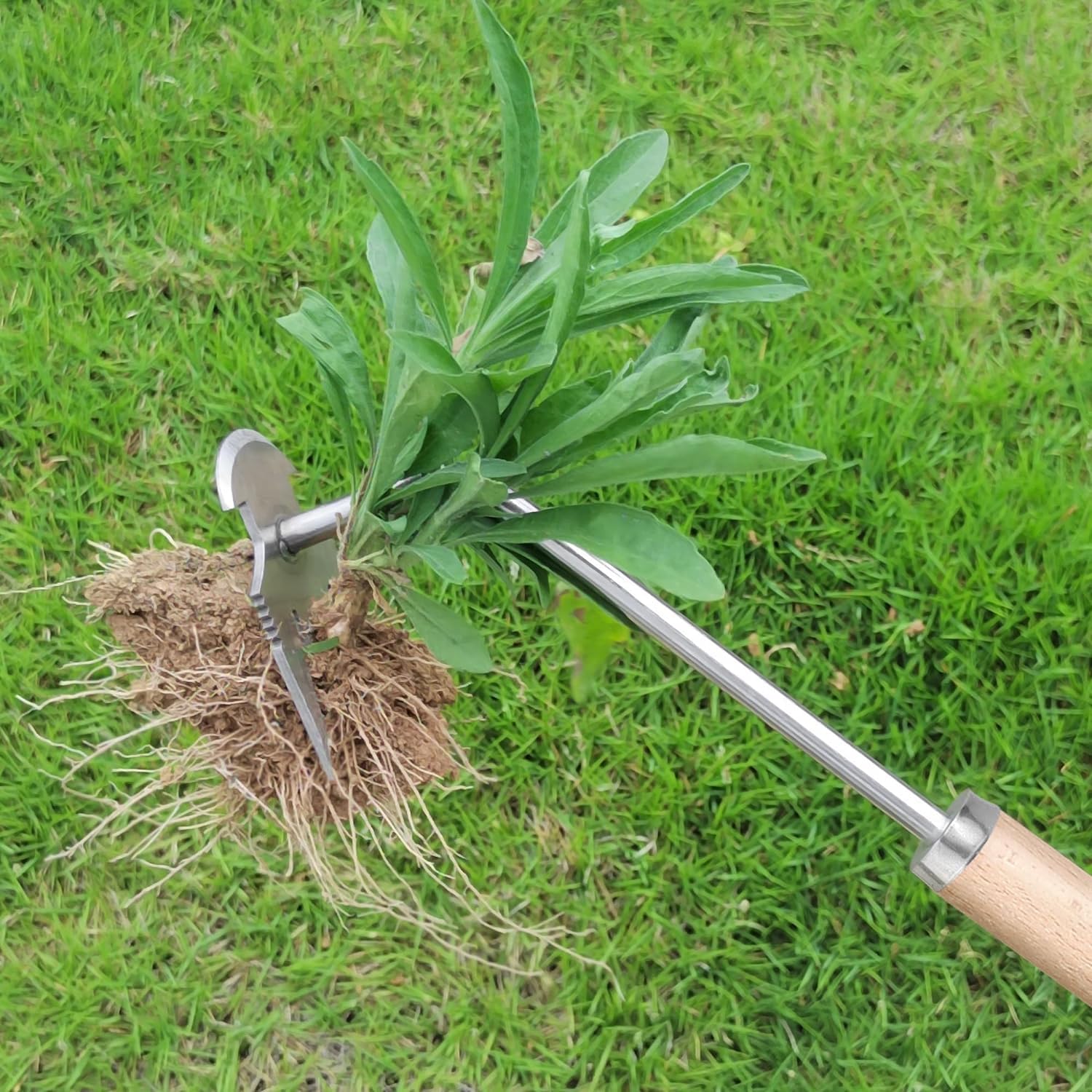 RootClaw™ – Weed Removal Tool