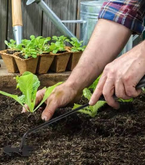 RootClaw™ – Weed Removal Tool