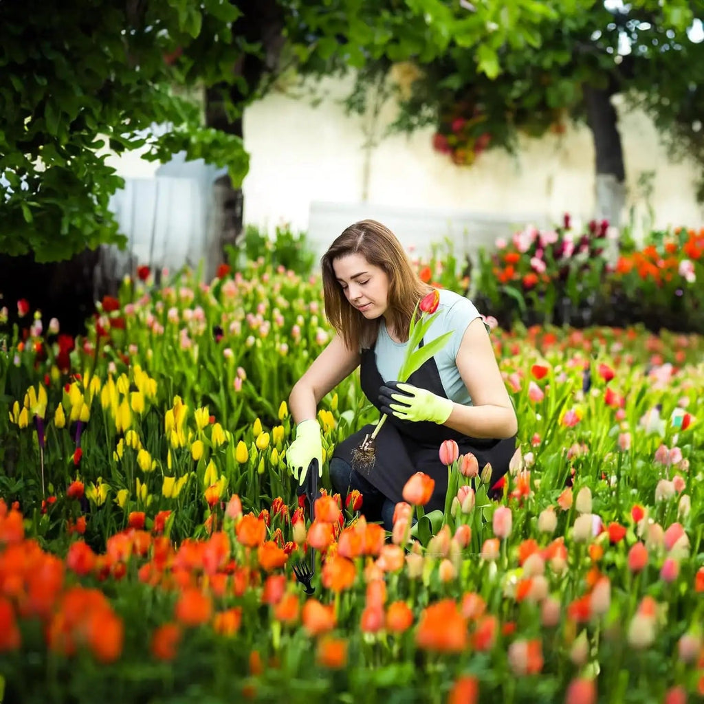 RootClaw™ – Weed Removal Tool